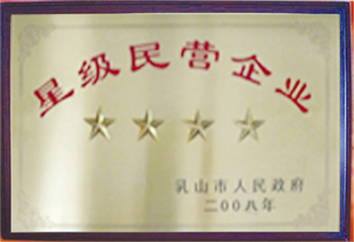 星級民營企業(yè)